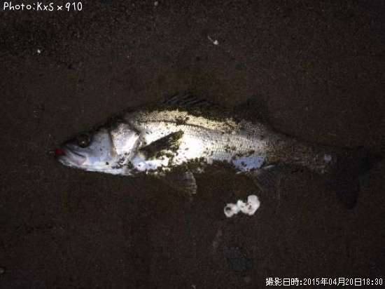 �����Х�