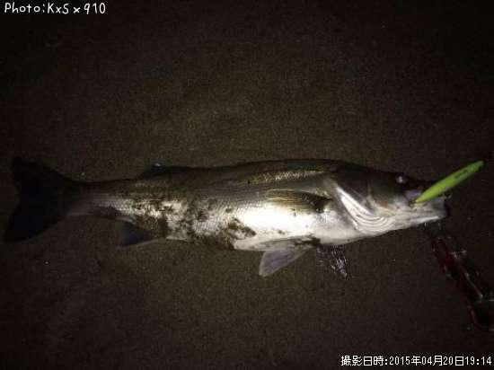 �����Х�