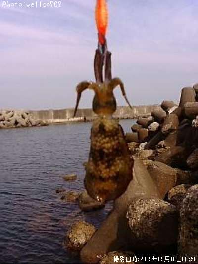 �����ꥤ��