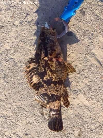 �����Υ���Х�