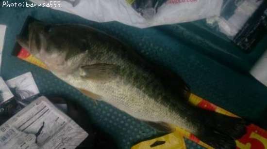 �֥�å��Х�