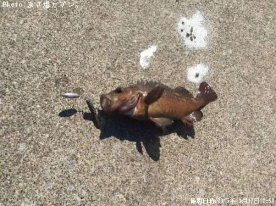 ������Х�