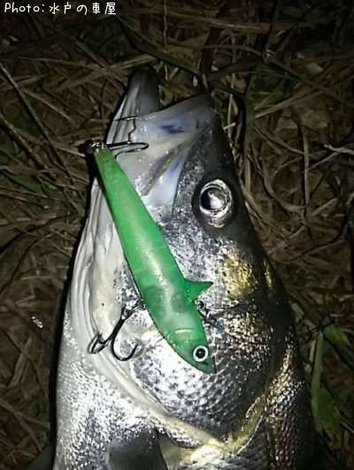 �����Х�