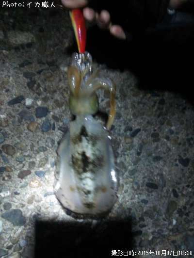 �����ꥤ��