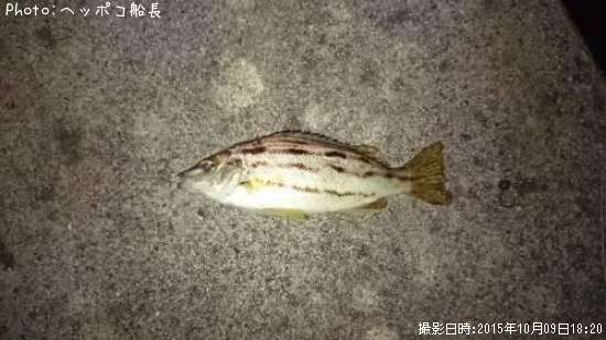 ���ޥ�������