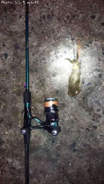 �����ꥤ��