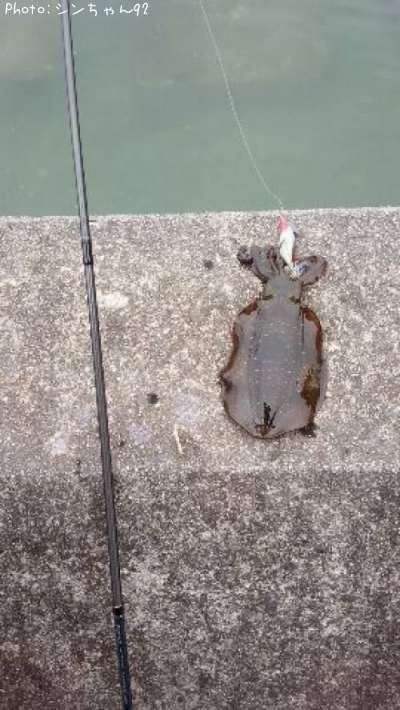 �����ꥤ��