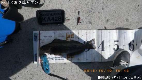 �����ʥ�