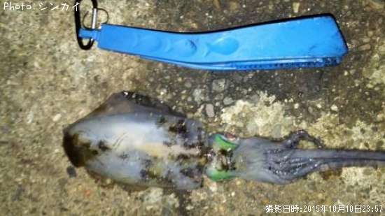 �����ꥤ��