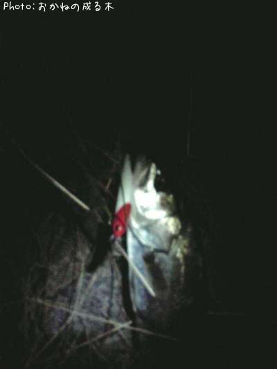 �����Х�