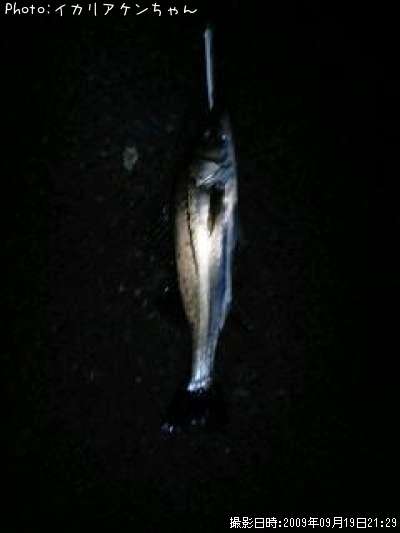 �����Х�