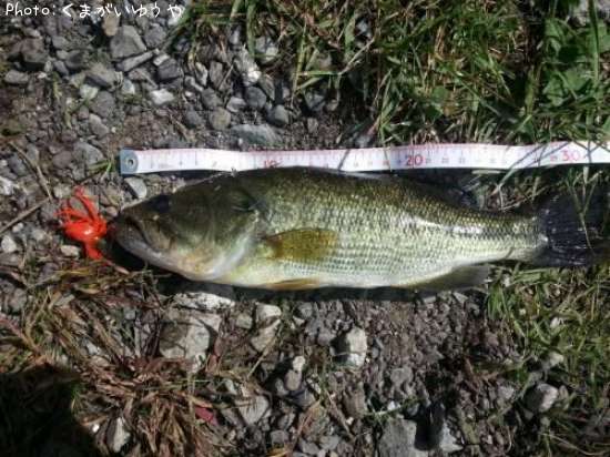 �顼���ޥ���