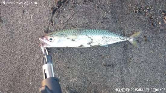 ����̣��