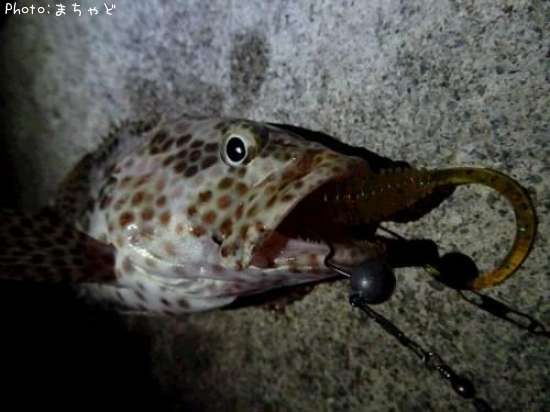 �����ߡ��Х��ڥ�����ϥ���