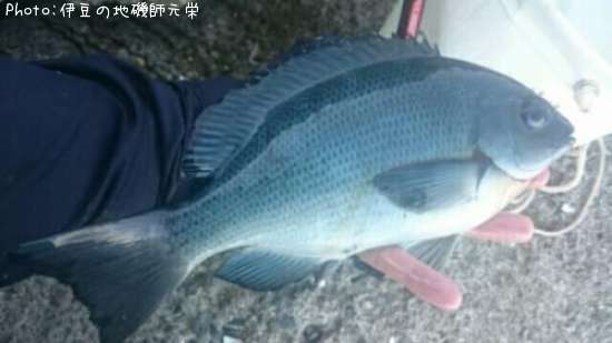 �����᥸��