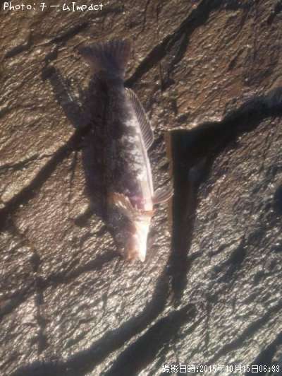 �����ʥ�