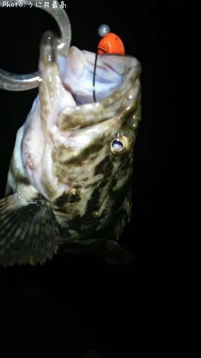 �٥å�������