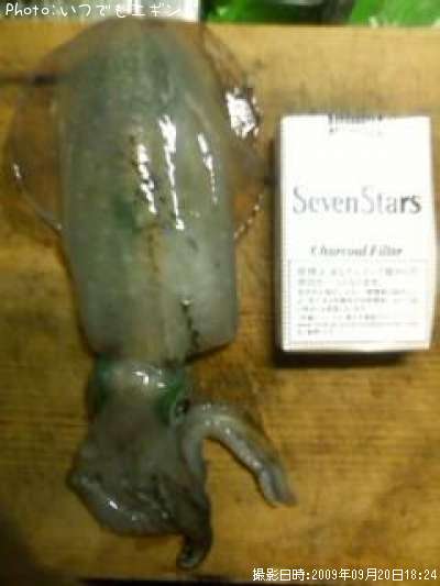 �����ꥤ��