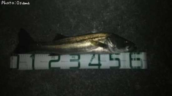 �����Х�