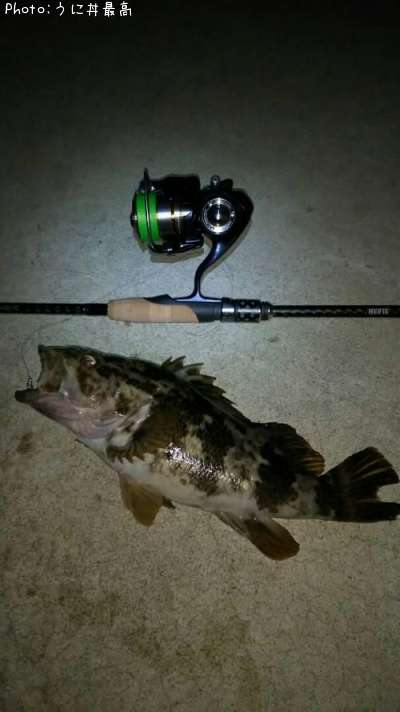 �٥å�������