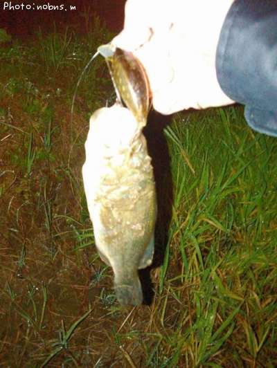 �֥�å��Х�