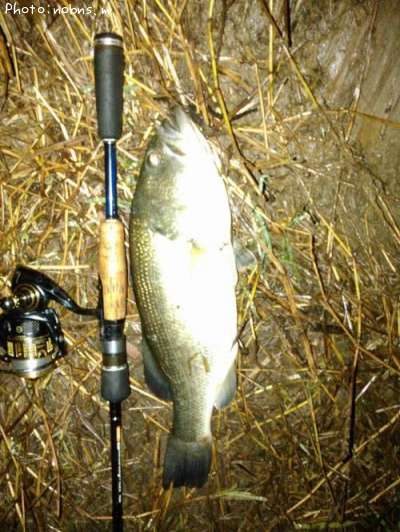 �֥�å��Х�