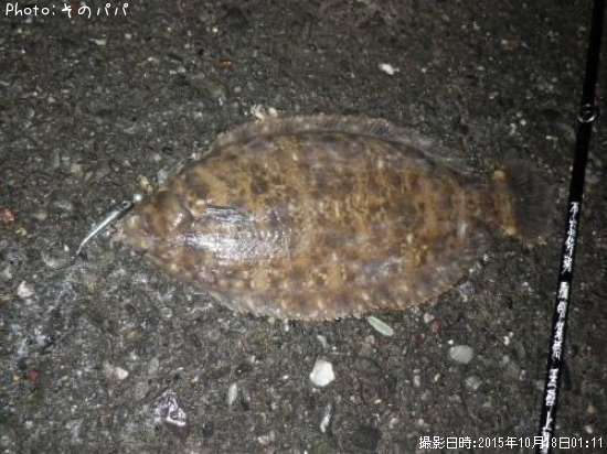 �ʥ᥿���쥤