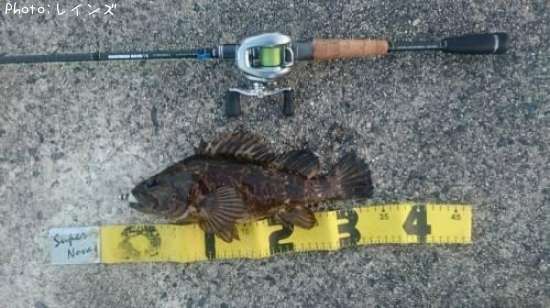 �����Υ���Х�