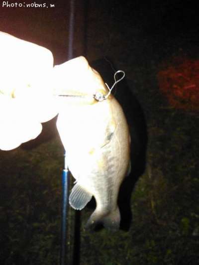 �֥�å��Х�