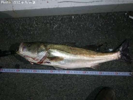 �����Х�