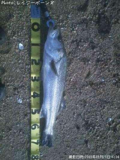 �����Х�