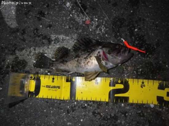 �����Υ���Х�