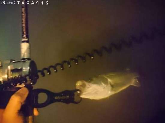 �����Х�