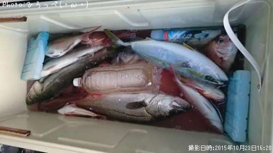 �����Х���¾