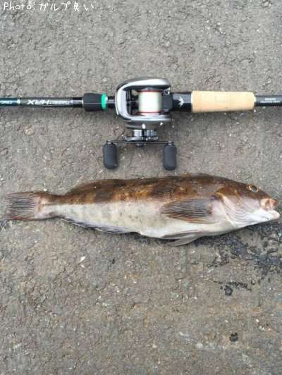 �����ʥ�