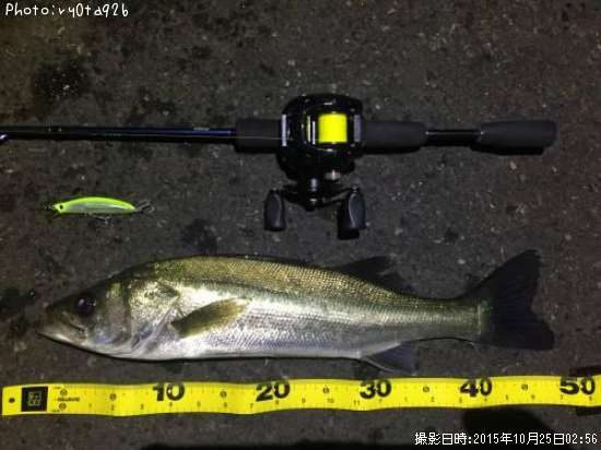 �����Х�