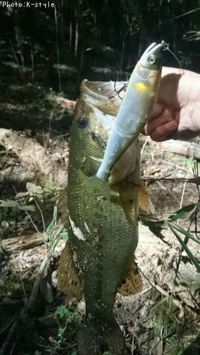 �֥�å��Х���