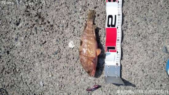 �����ϥ�