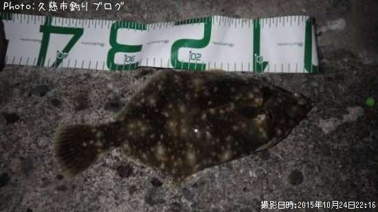 �ޥ����쥤