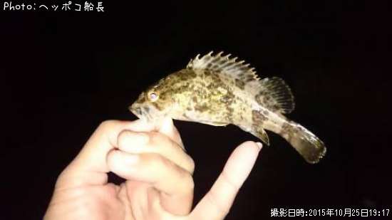 �����Υ���Х�