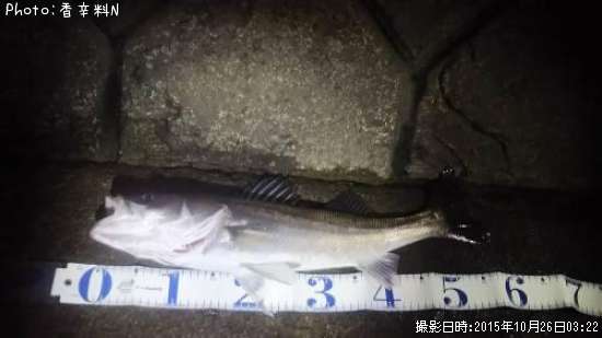 �����Х�