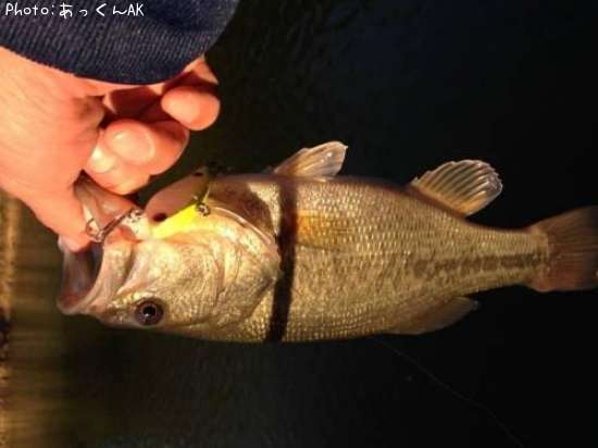 �֥�å��Х�