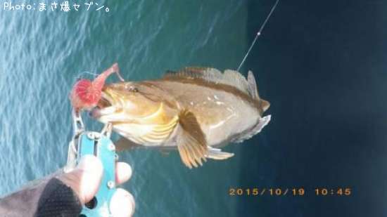 �����ʥ�