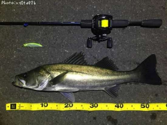 �����Х�