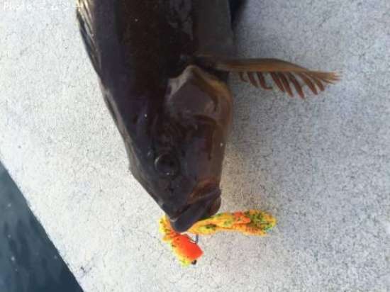 �����ʥ�