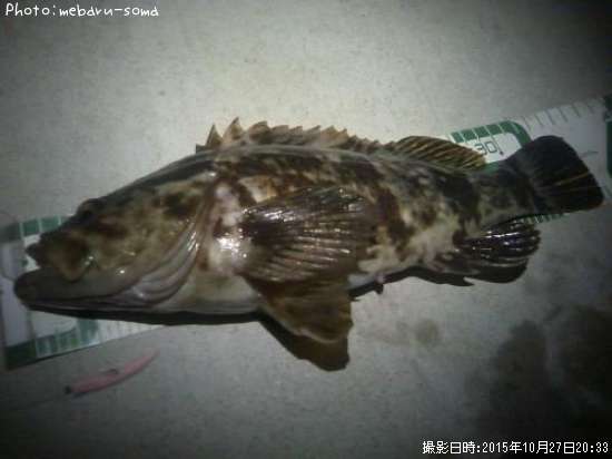 �����Υ���Х�