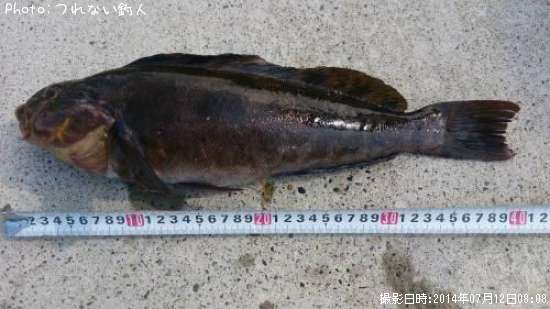 �����ʥ�