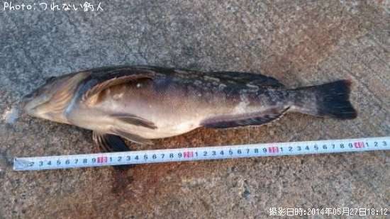 �����ʥ�