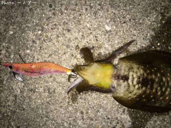 �����ꥤ��