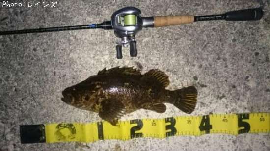 �����Υ���Х�